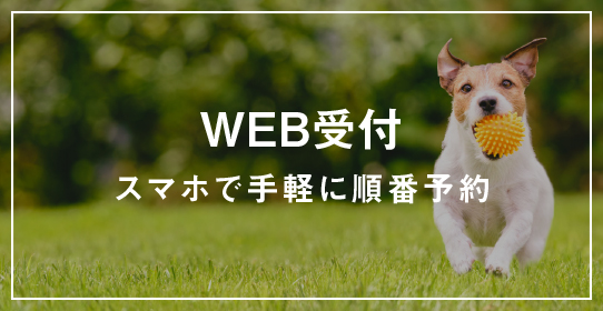 WEB予約