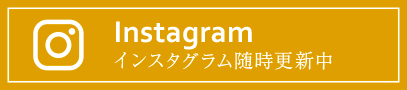 インスタグラム